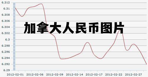 加拿大人民币图片 加拿大的人民币的图片