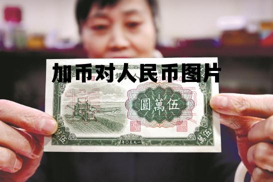 加币对人民币图片 人民币对加币新浪网