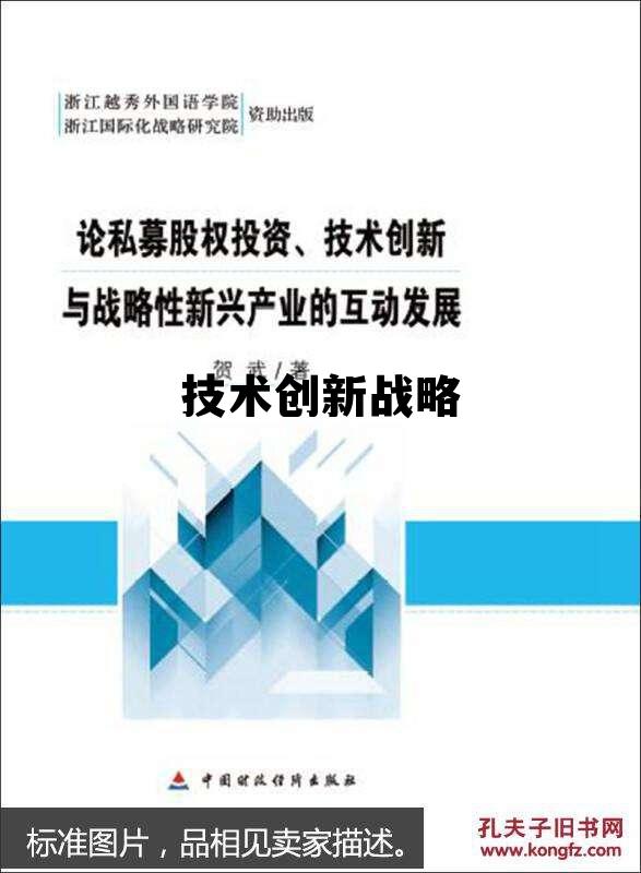 技术创新战略 技术创新战略要考虑的因素