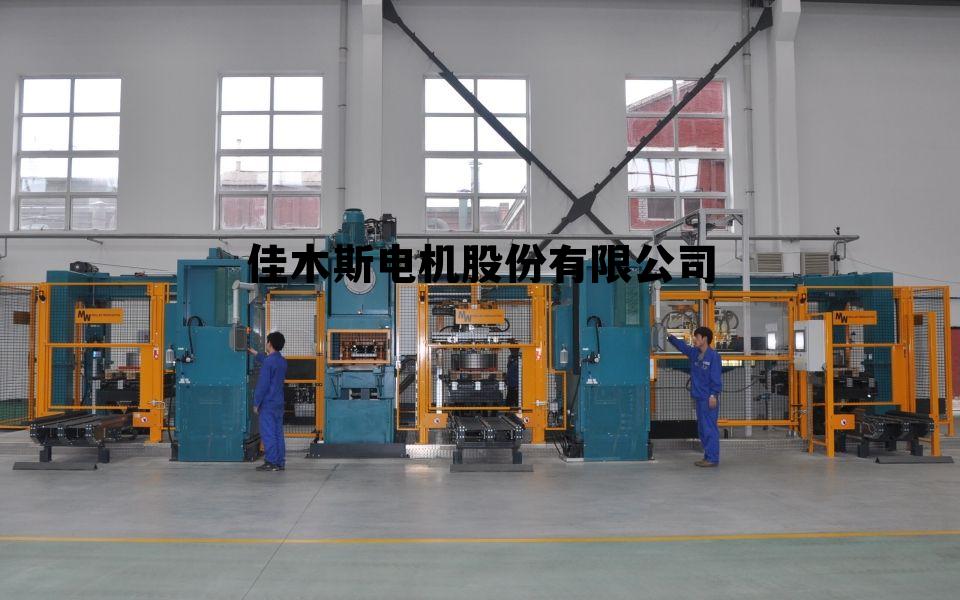 佳木斯电机股份有限公司 王殿友佳木斯电机股份有限公司