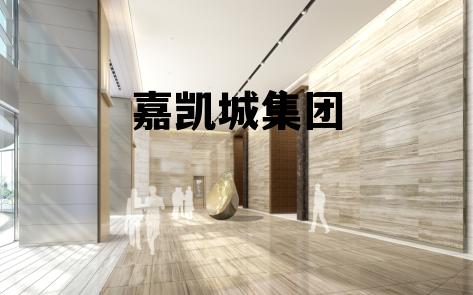 嘉凯城集团 嘉凯城集团股份有限公司简介