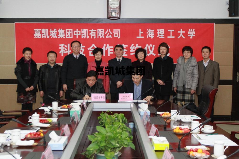 嘉凯城集团 嘉凯城集团股份有限公司简介