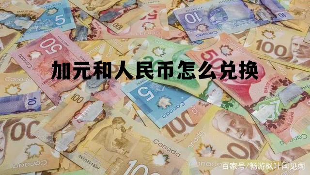 加元和人民币怎么兑换 加元和人民币怎么兑换比例 加元和人民币怎么兑换 加元和人民币怎么兑换比例