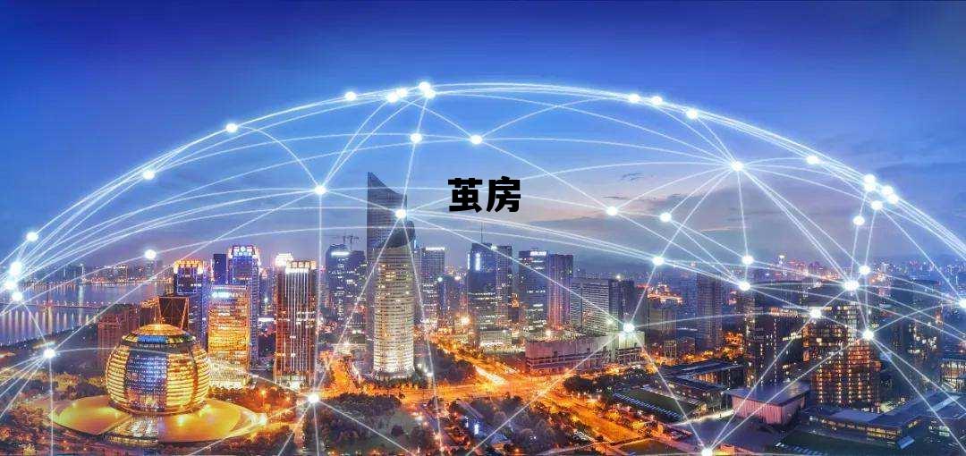 茧房 茧房之外是你的未来阅读答案