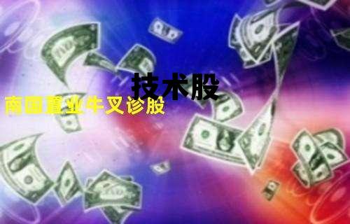 技术股 技术股份有限公司