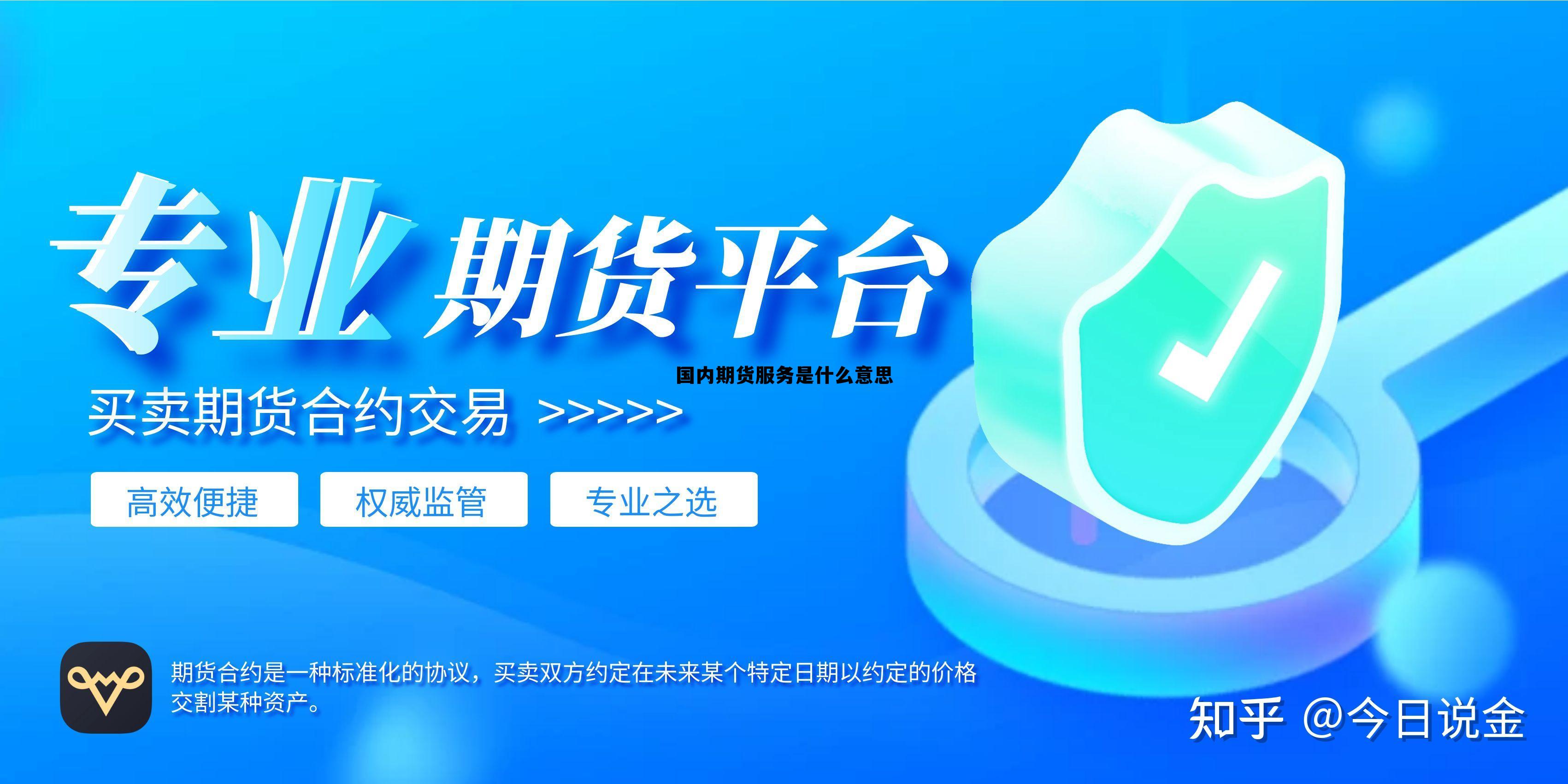 国内期货服务是什么意思 国内期货服务是什么意思啊