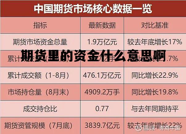 期货里的资金什么意思啊 期货里的资金什么意思啊怎么看