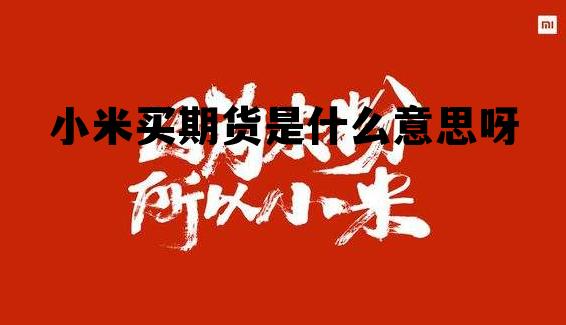 小米买期货是什么意思呀 小米买期货是什么意思呀安全吗