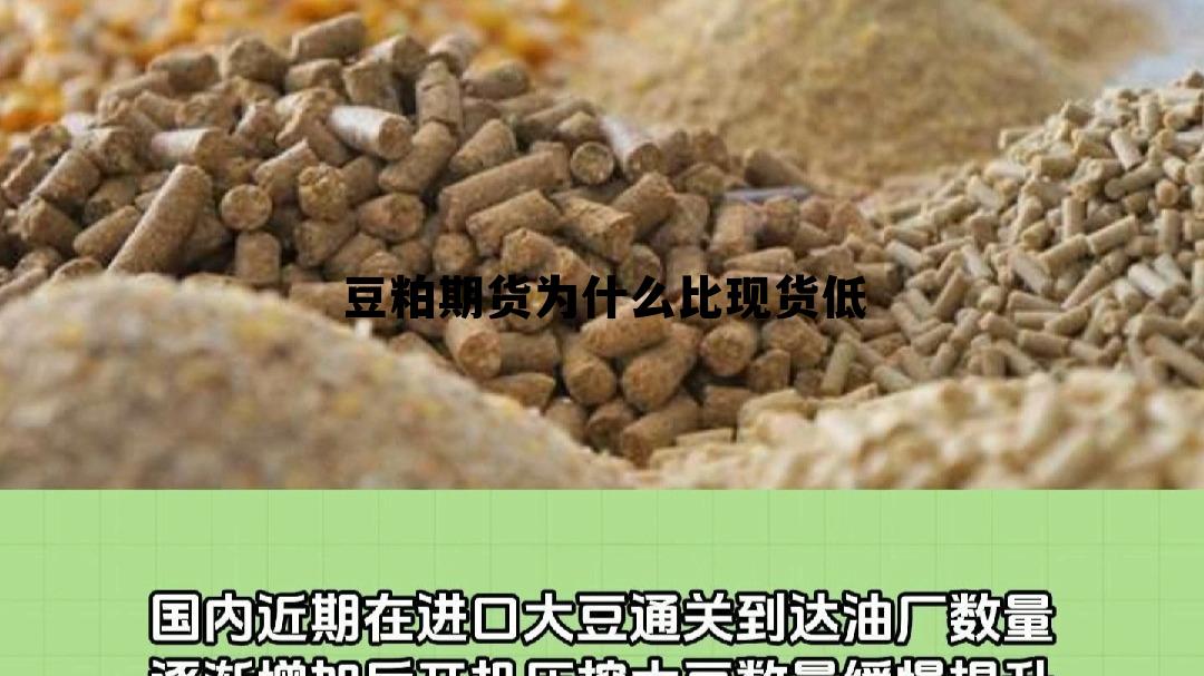 豆粕期货为什么比现货低 豆粕期货为什么比现货低呢