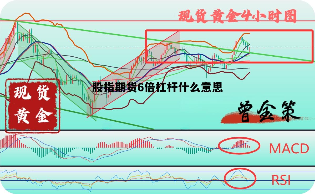 股指期货6倍杠杆什么意思 股指期货6倍杠杆什么意思啊