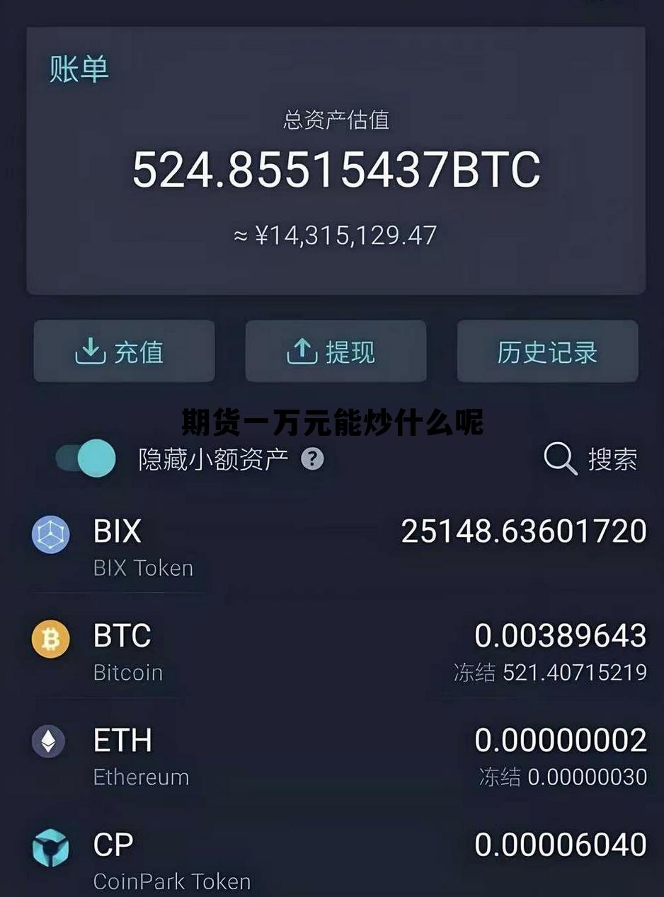 期货一万元能炒什么呢 期货一万元能炒什么呢视频