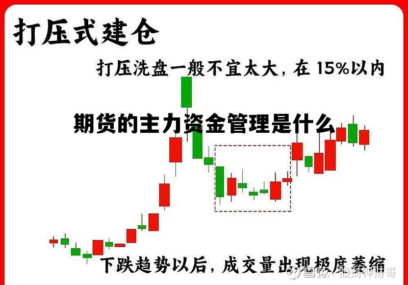 期货的主力资金管理是什么 期货的主力资金管理是什么意思