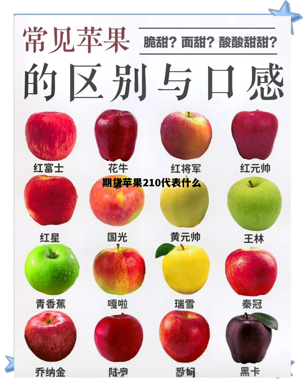 期货苹果210代表什么 期货苹果2101是什么意思